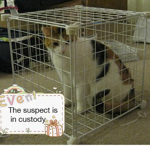 large_6jFP_441c00013c1f121b